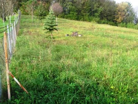 Pušća - Hrebine- građevinsko zemljište - 2264 m2 - 39.000,00 € NOVA CIJENA!